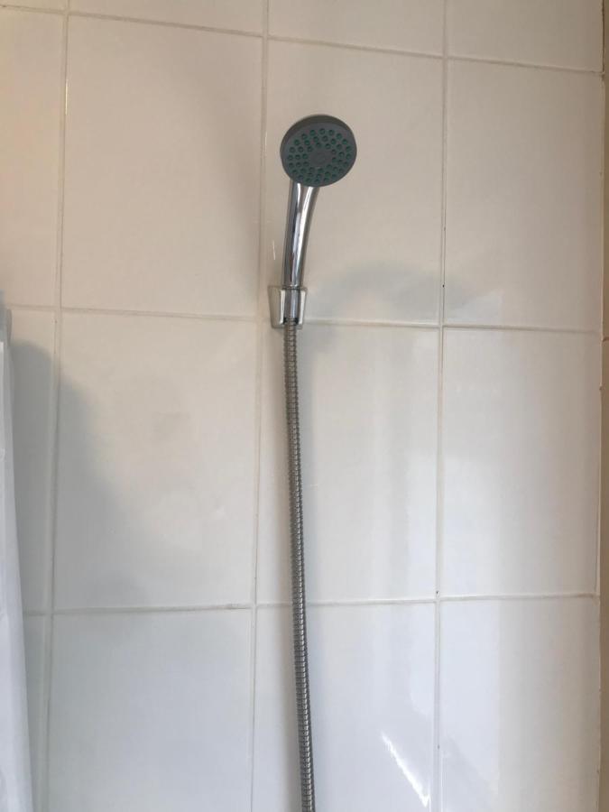 Apart Hotel Don Domingo Coñaripe Εξωτερικό φωτογραφία